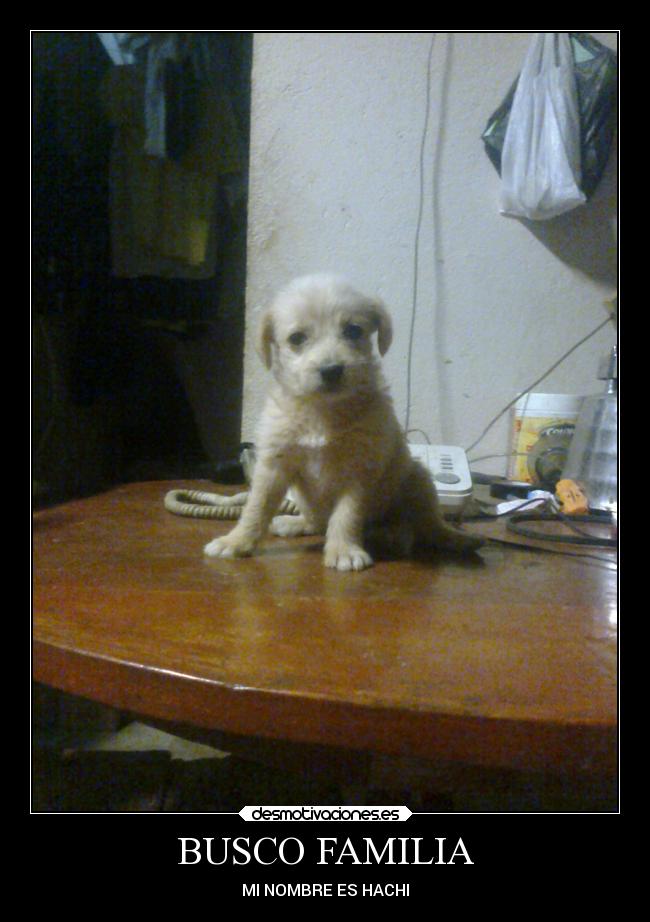 carteles familia animales desmotivaciones