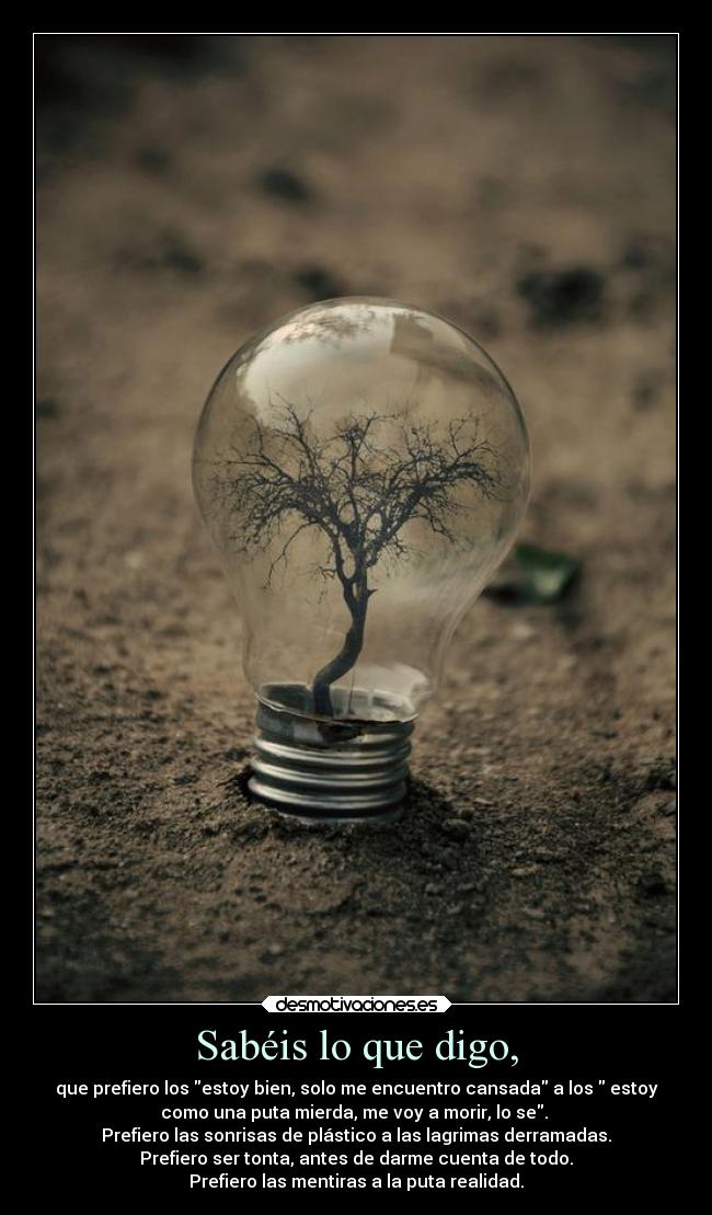 Sabéis lo que digo, - que prefiero los estoy bien, solo me encuentro cansada a los estoy
como una puta mierda, me voy a morir, lo se.
Prefiero las sonrisas de plástico a las lagrimas derramadas.
Prefiero ser tonta, antes de darme cuenta de todo.
Prefiero las mentiras a la puta realidad.