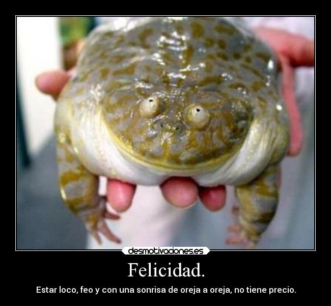 Felicidad. - 