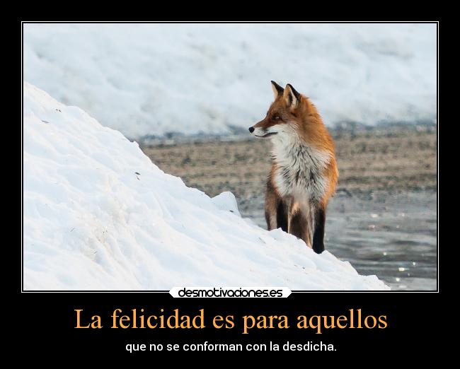 La felicidad es para aquellos - que no se conforman con la desdicha.
