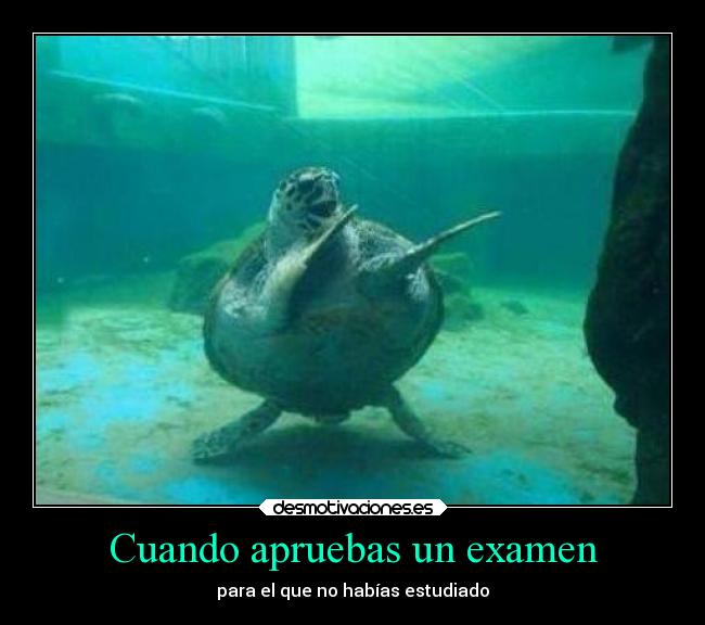 Cuando apruebas un examen -