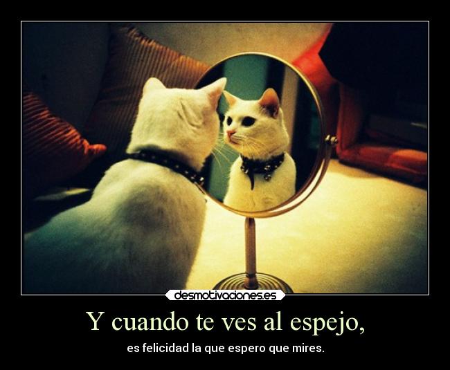 Y cuando te ves al espejo, - es felicidad la que espero que mires.
