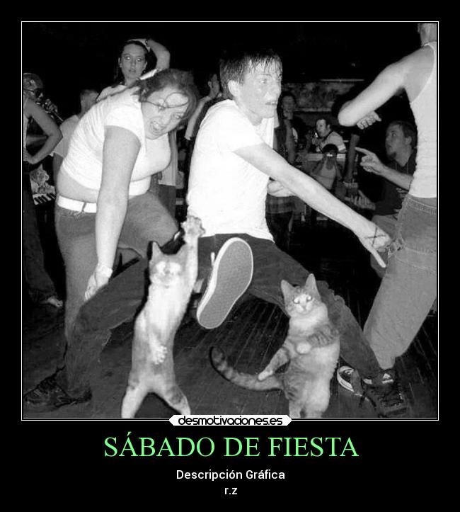 SÁBADO DE FIESTA - Descripción Gráfica
r.z