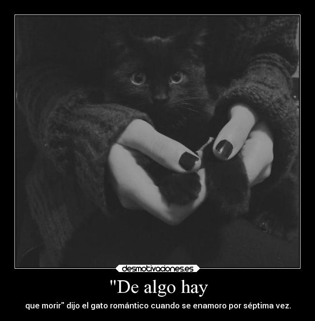 De algo hay - que morir dijo el gato romántico cuando se enamoro por séptima vez.