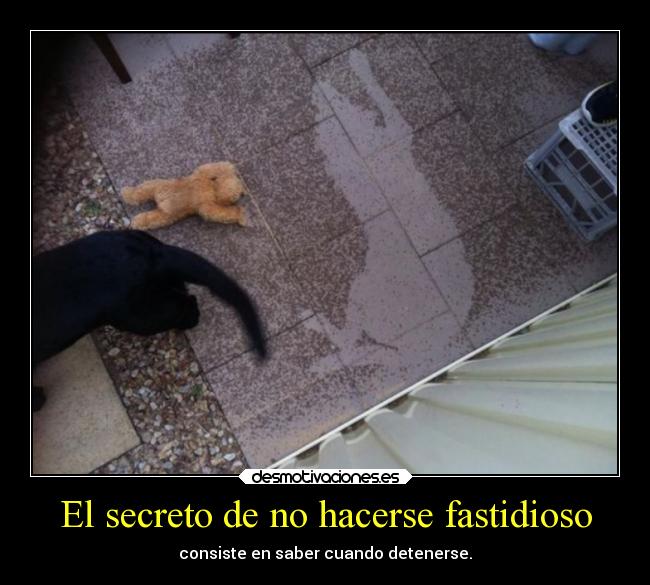 carteles frases desmotivaciones