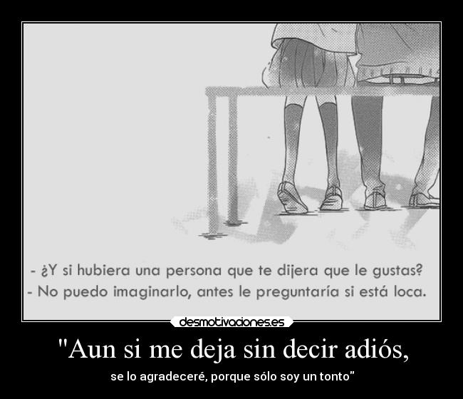 Aun si me deja sin decir adiós, - se lo agradeceré, porque sólo soy un tonto