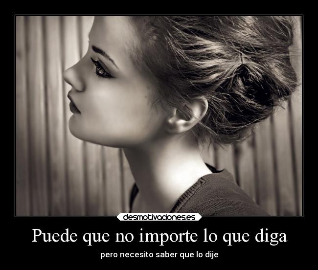 Puede que no importe lo que diga - 
