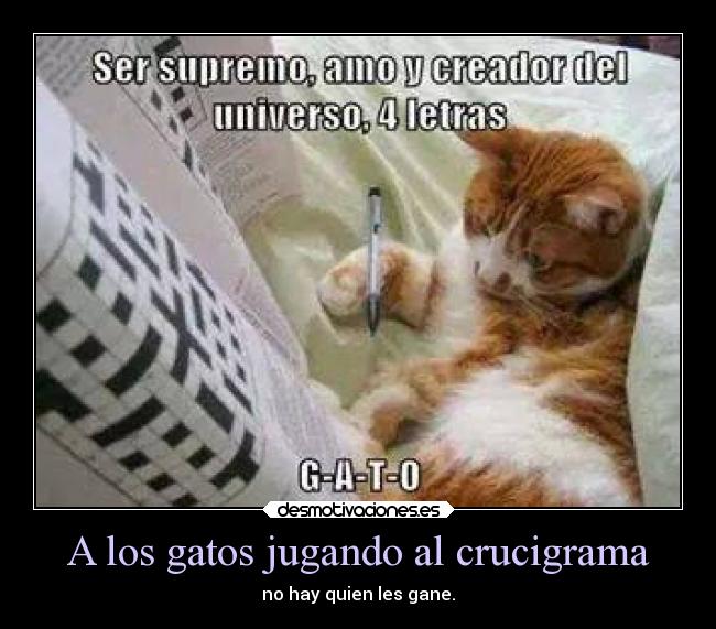 A los gatos jugando al crucigrama - no hay quien les gane.