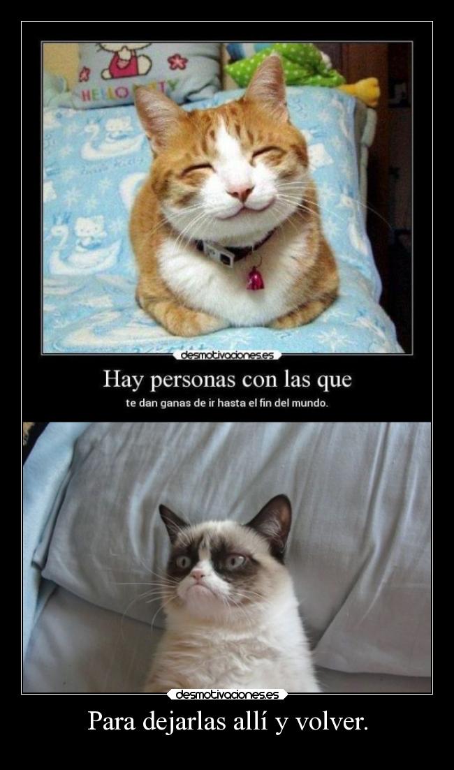 carteles gatos animales humor grumpy cat desmotivaciones