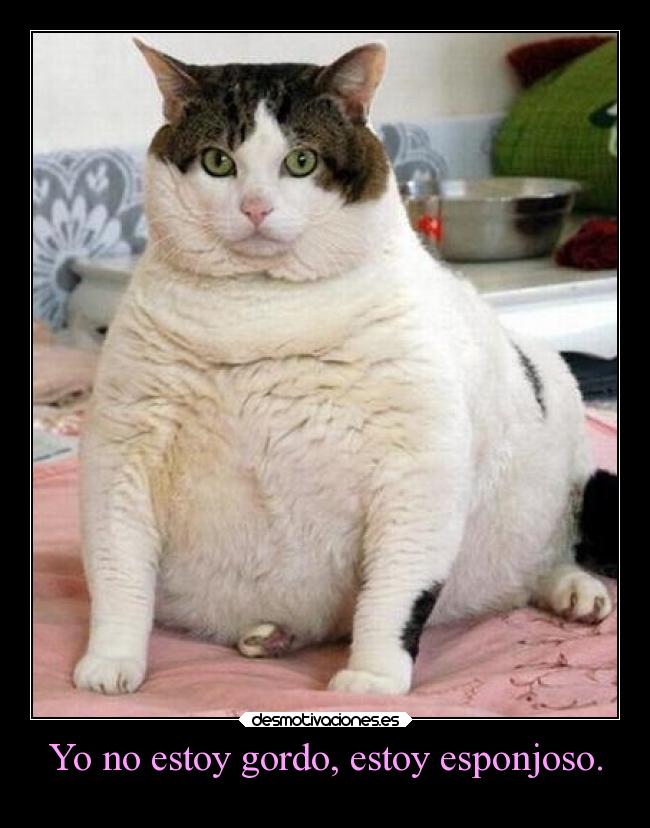 Yo no estoy gordo, estoy esponjoso. -