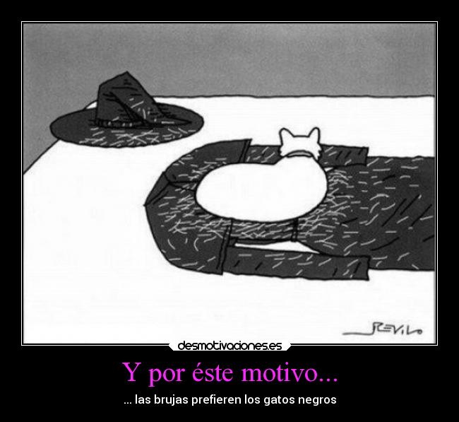 Y por éste motivo... - ... las brujas prefieren los gatos negros
