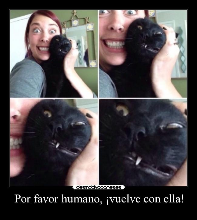 Por favor humano, ¡vuelve con ella! -