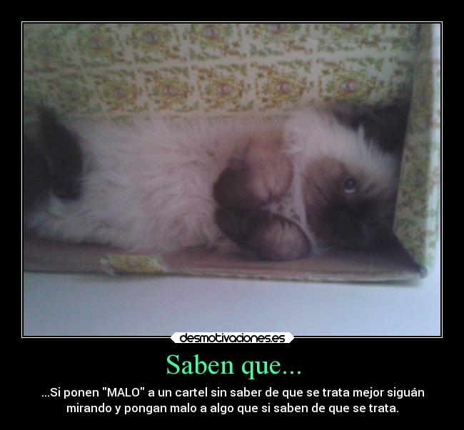 Saben que... - ...Si ponen MALO a un cartel sin saber de que se trata mejor siguán
mirando y pongan malo a algo que si saben de que se trata.