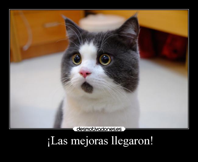 ¡Las mejoras llegaron! -