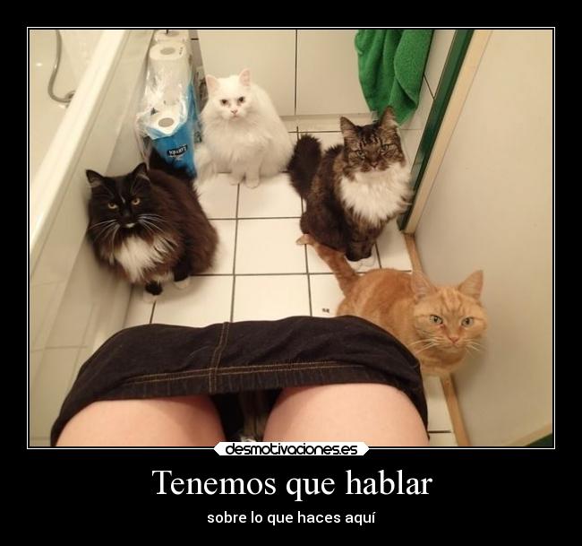 Tenemos que hablar - 