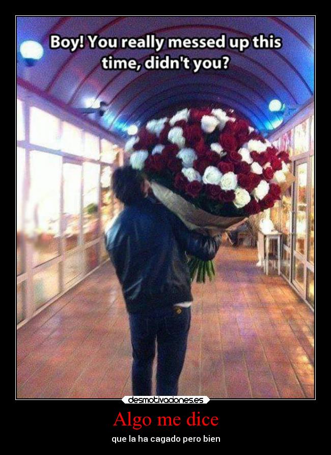 carteles graciosas chiste santalucia rosas cagarla desmotivaciones