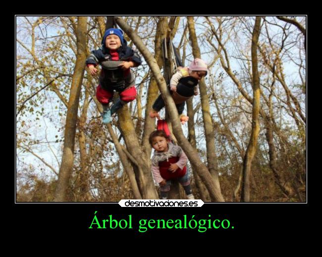 carteles graciosas desmotivaciones