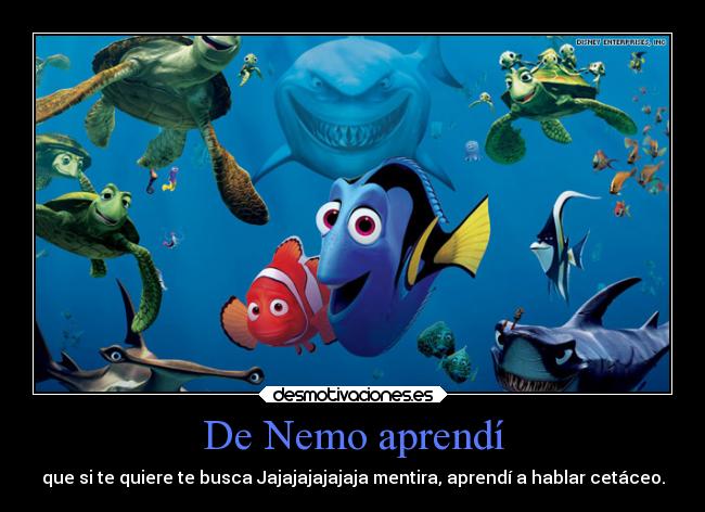 De Nemo aprendí - que si te quiere te busca Jajajajajajaja mentira, aprendí a hablar cetáceo.