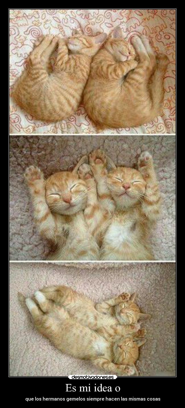Es mi idea o - que los hermanos gemelos siempre hacen las mismas cosas