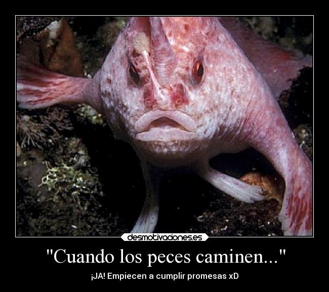 Cuando los peces caminen... - ¡JA! Empiecen a cumplir promesas xD