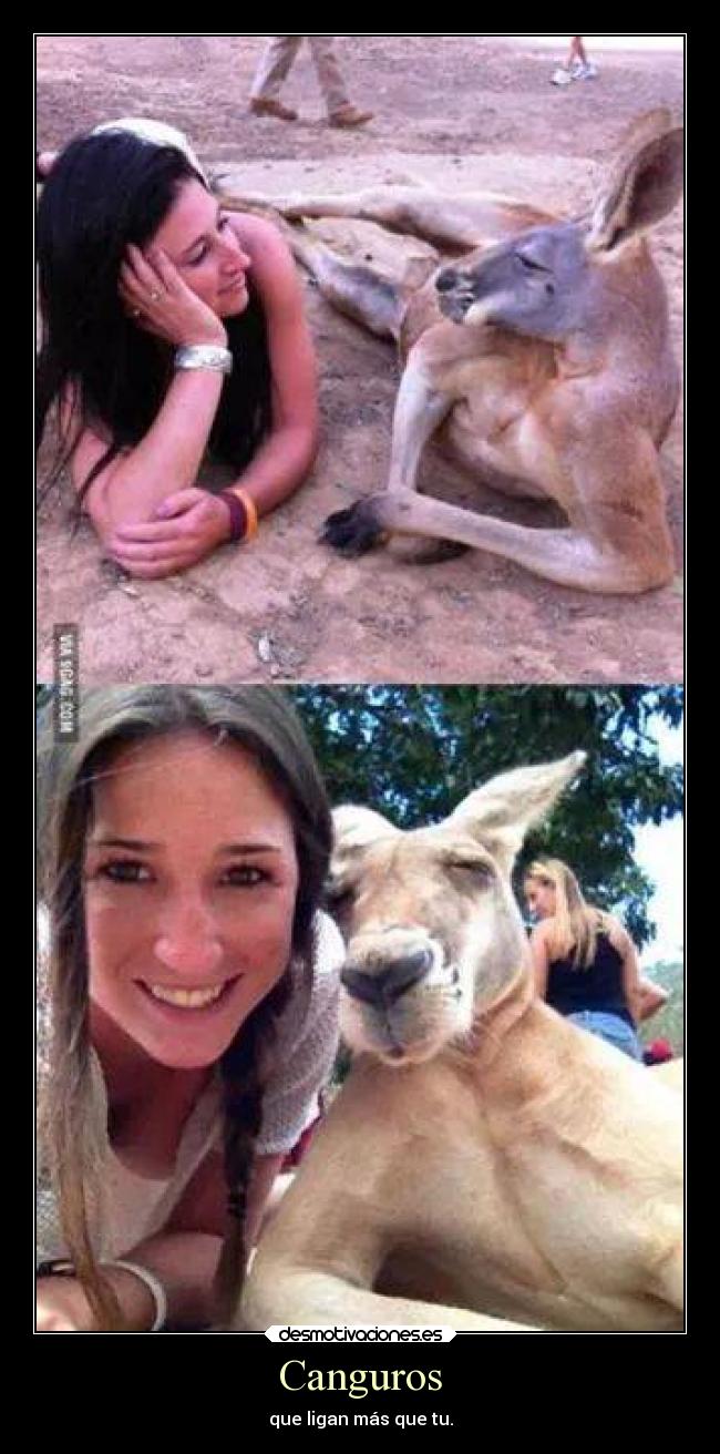 Canguros - que ligan más que tu.