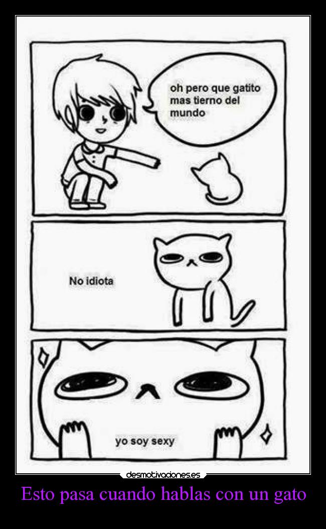 Esto pasa cuando hablas con un gato - 