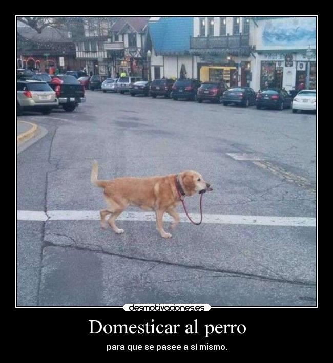 carteles humor desmotivaciones