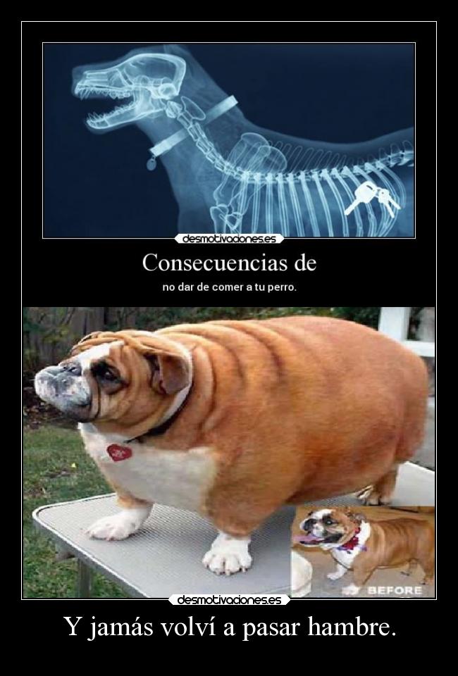 carteles humor desmotivaciones