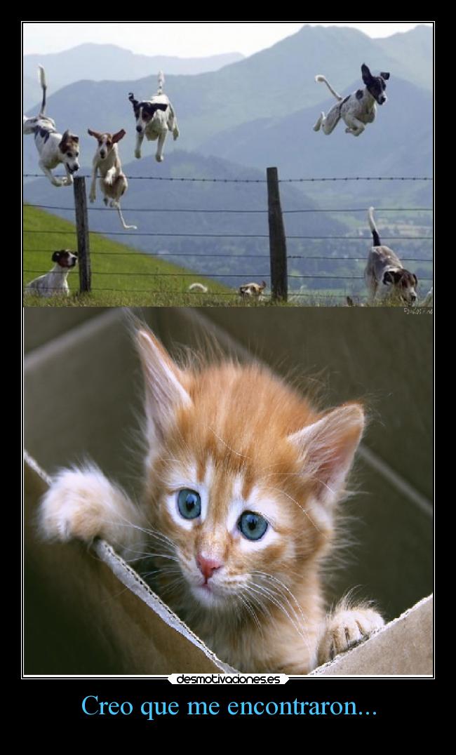 Creo que me encontraron... -