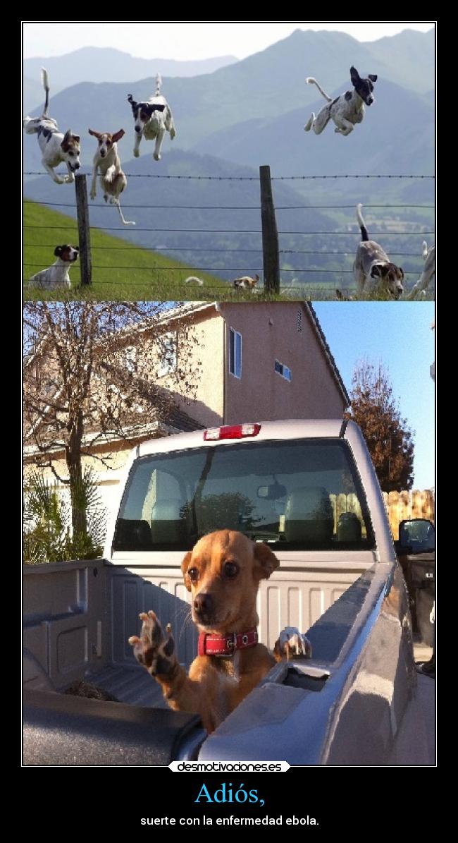 Adiós, - suerte con la enfermedad ebola.