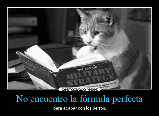 No encuentro la fórmula perfecta - para acabar con los perros.