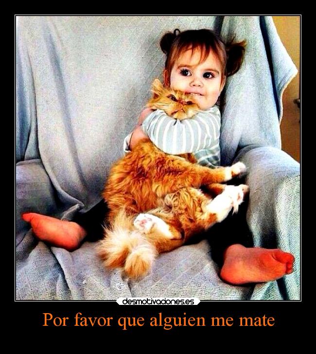 Por favor que alguien me mate - 