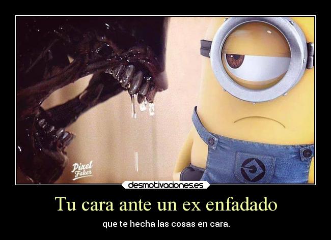 Tu cara ante un ex enfadado - que te hecha las cosas en cara.