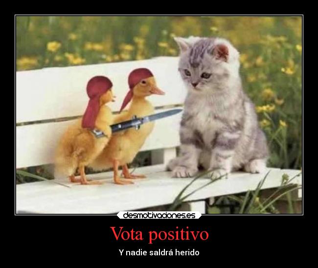 carteles humor gatos patos rehen heavyrock666 desmotivaciones