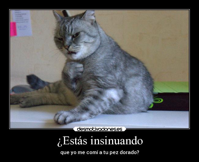 ¿Estás insinuando - que yo me comí a tu pez dorado?