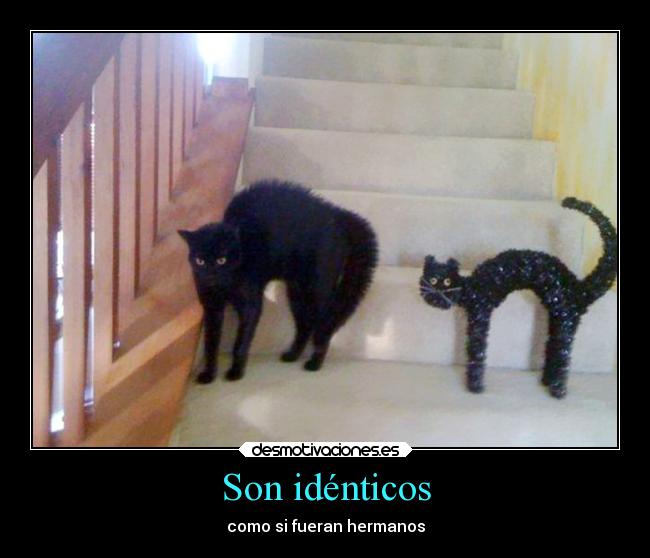 Son idénticos -