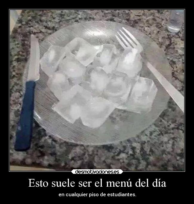 carteles humor graciosas comida hielo estudiantes piso rilacs desmotivaciones