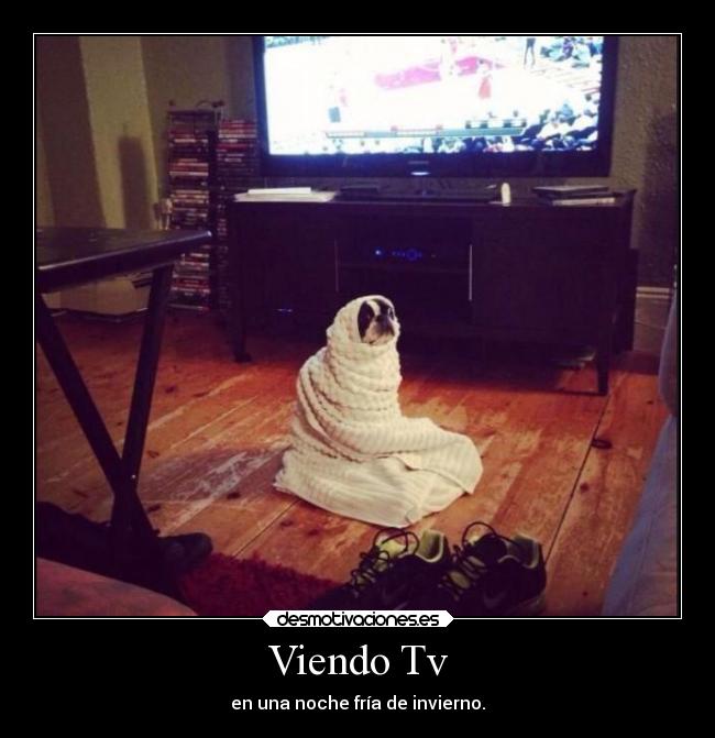 Viendo Tv - en una noche fría de invierno.