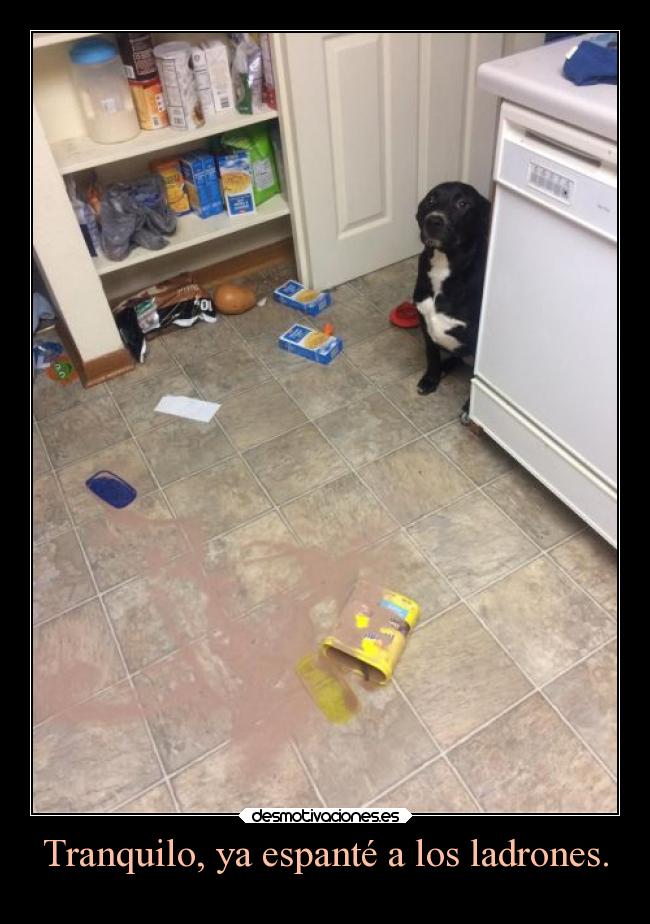 Tranquilo, ya espanté a los ladrones. -