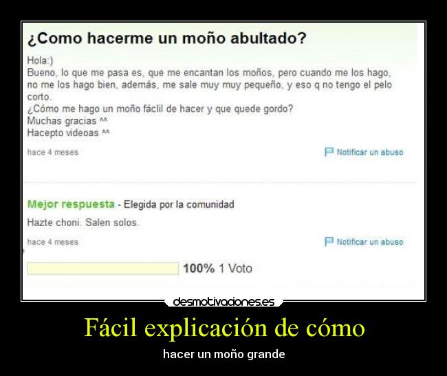 carteles humor historia chonis demas desmotivaciones