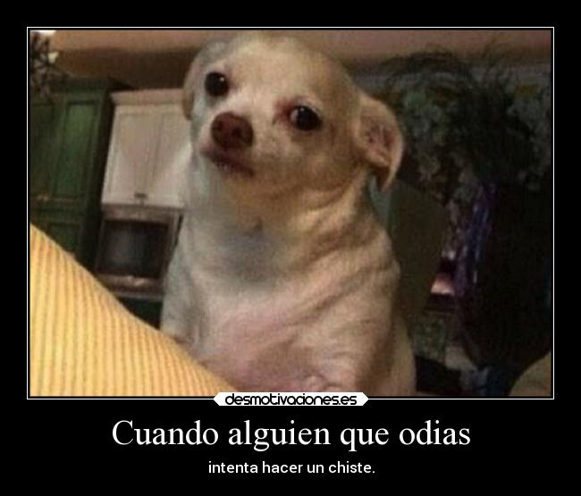 Cuando alguien que odias -