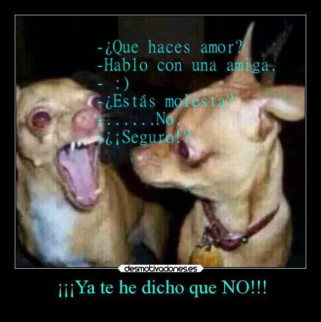 ¡¡¡Ya te he dicho que NO!!! - 