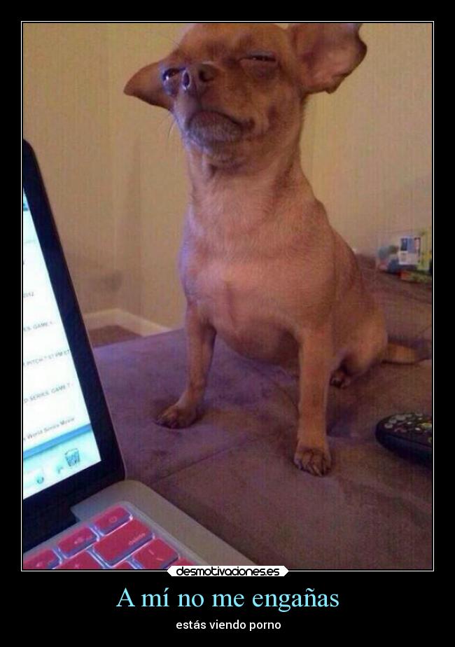 carteles humor porno clanebola betoasekas perro desmotivaciones
