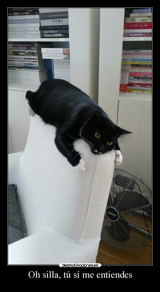 carteles humor slipkdemon clandesplazado silla gato sillon entender desmotivaciones