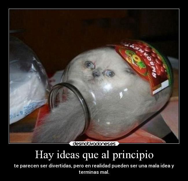 Hay ideas que al principio - te parecen ser divertidas, pero en realidad pueden ser una mala idea y
terminas mal.