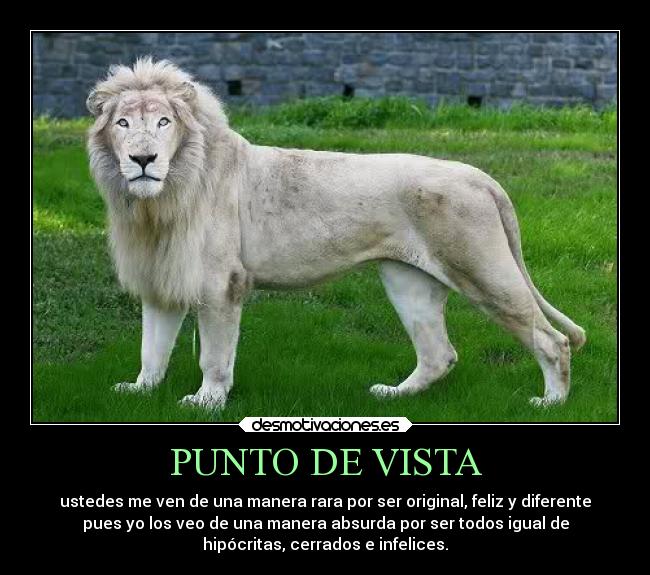 PUNTO DE VISTA - ustedes me ven de una manera rara por ser original, feliz y diferente
pues yo los veo de una manera absurda por ser todos igual de
hipócritas, cerrados e infelices.