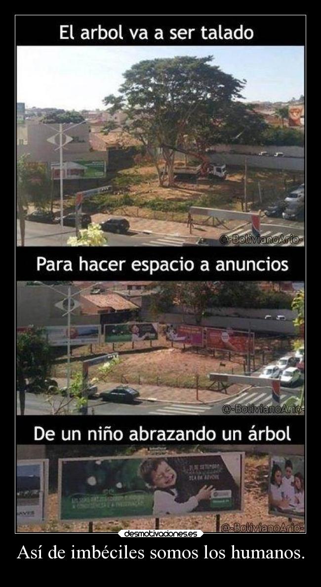 Así de imbéciles somos los humanos. -
