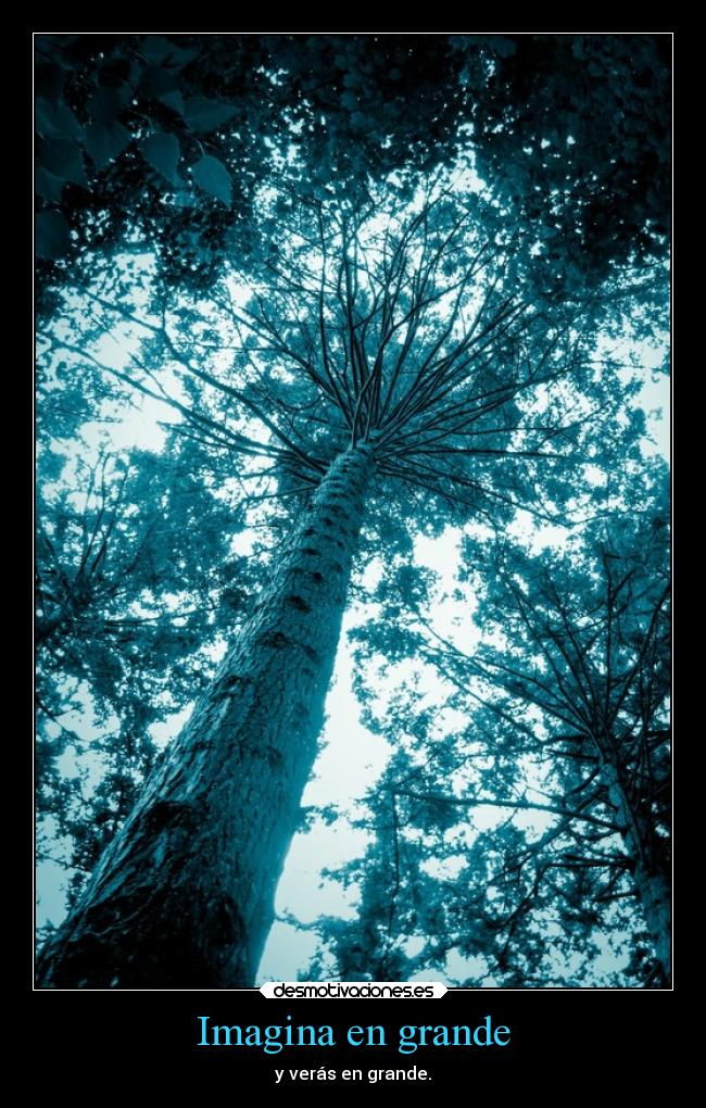 Imagina en grande - y verás en grande.