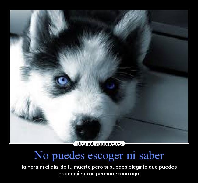 No puedes escoger ni saber - la hora ni el día de tu muerte pero si puedes elegir lo que puedes
hacer mientras permanezcas aqui