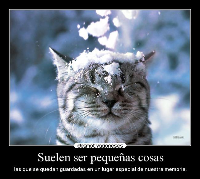 Suelen ser pequeñas cosas - las que se quedan guardadas en un lugar especial de nuestra memoria.